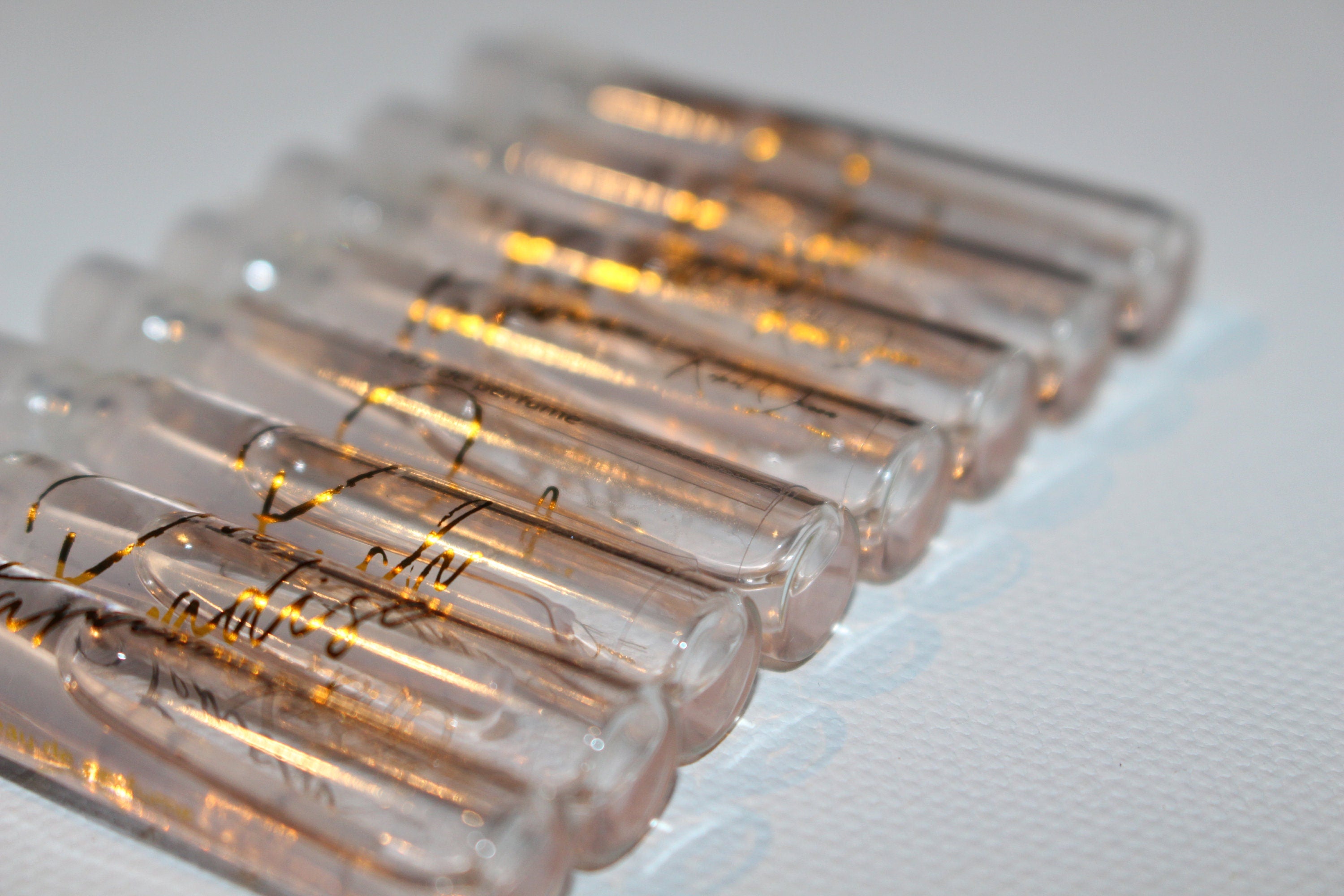 Jungle || Luxury Perfume