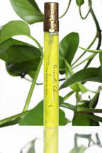 Jungle || Luxury Perfume